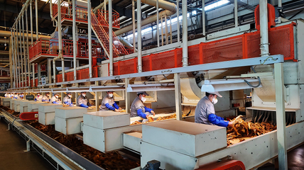 讓建設(shè)綠水青山成為煙草奮斗的驕傲