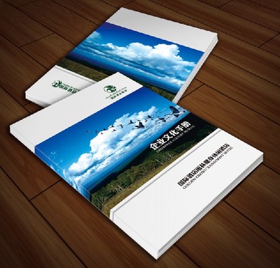 供應福建廣告印刷、畫冊印刷與雜志印刷 莆田印刷廠家的專業(yè)服務