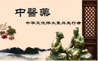 絲路傳杏林，仁心潤萬邦 中醫學者譚鎮平推動中醫藥文化在新時代絲路上綻放異彩